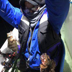 ヤザワ渡船 釣果