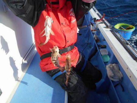 佐衛美丸 釣果