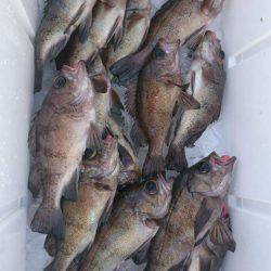 海龍丸（石川） 釣果