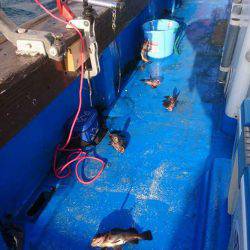 海龍丸（石川） 釣果