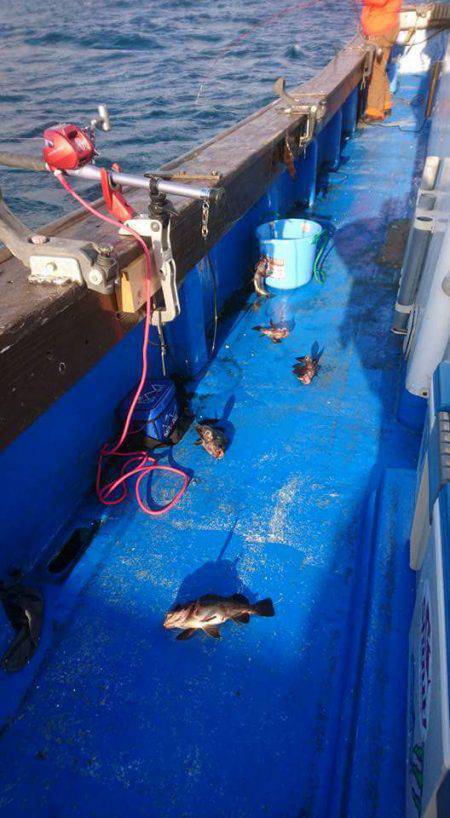 海龍丸（石川） 釣果