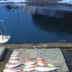 ARCADIAⅡ （アルカディアⅡ） 釣果