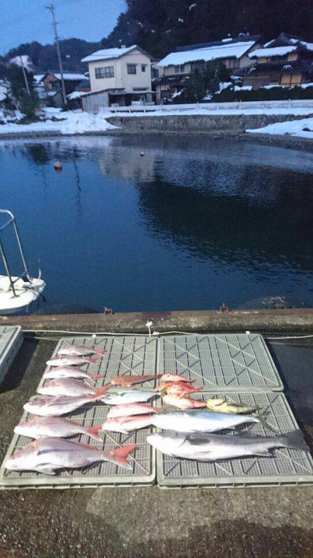 ARCADIAⅡ （アルカディアⅡ） 釣果