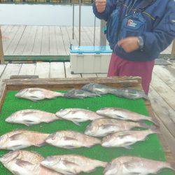 海の釣堀 海恵 釣果