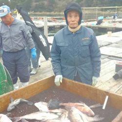 海の釣堀 海恵 釣果
