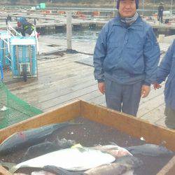 海の釣堀 海恵 釣果