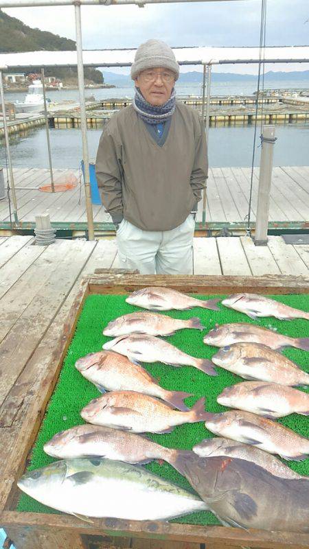海の釣堀 海恵 釣果