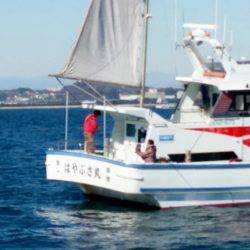 金沢八景鴨下丸 釣果