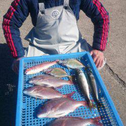 第三共栄丸 釣果