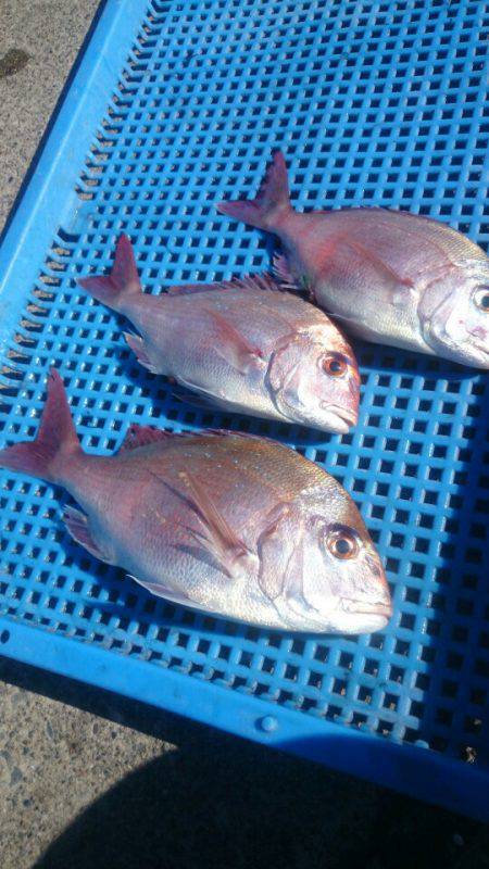 第三共栄丸 釣果