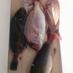 第三共栄丸 釣果