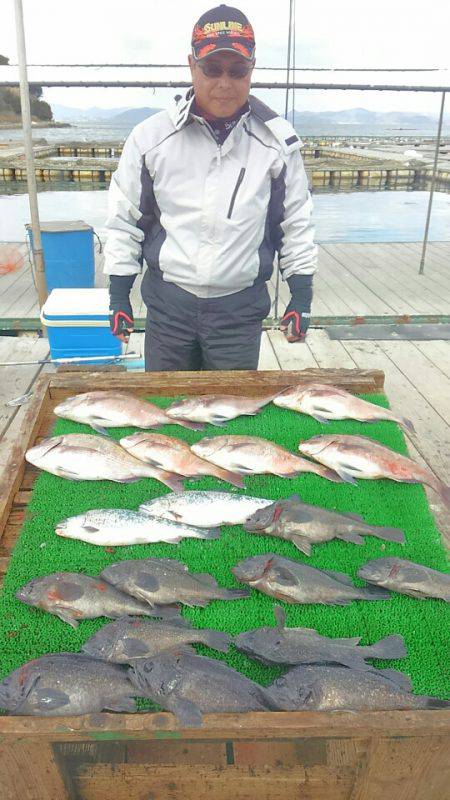 海の釣堀 海恵 釣果