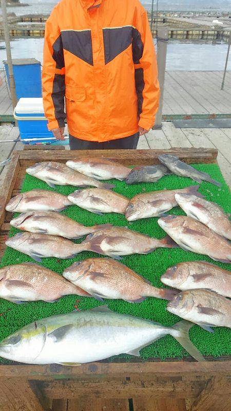 海の釣堀 海恵 釣果