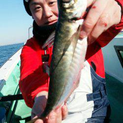 金沢八景鴨下丸 釣果