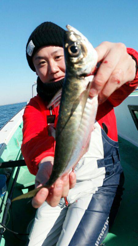 金沢八景鴨下丸 釣果