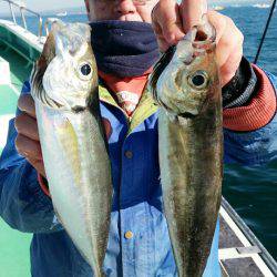 金沢八景鴨下丸 釣果