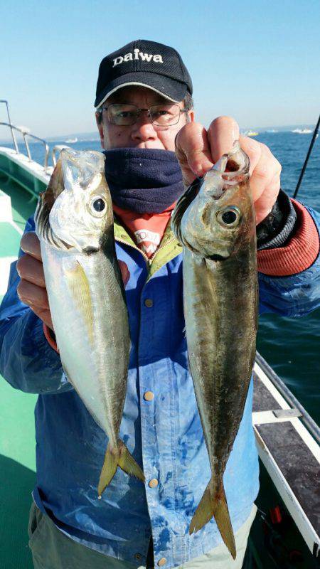 金沢八景鴨下丸 釣果