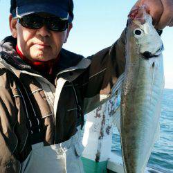 金沢八景鴨下丸 釣果