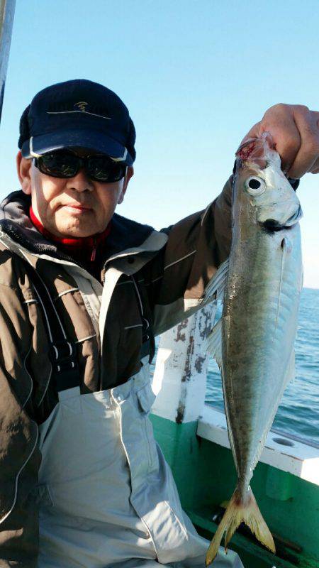 金沢八景鴨下丸 釣果