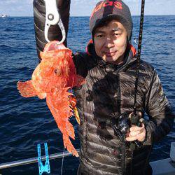 ARCADIAⅡ (アルカディアⅡ) 釣果