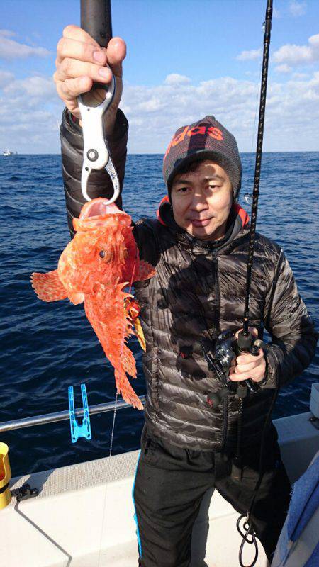 ARCADIAⅡ (アルカディアⅡ) 釣果