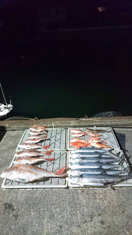 ARCADIAⅡ (アルカディアⅡ) 釣果