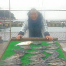 海の釣堀 海恵 釣果