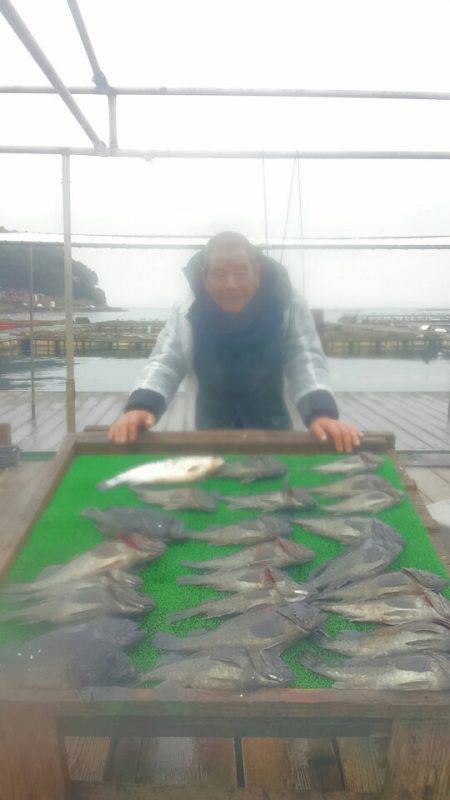 海の釣堀 海恵 釣果