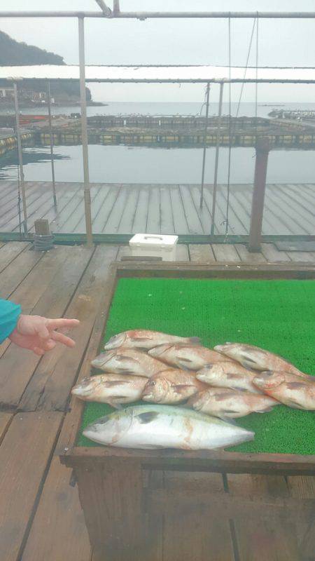 海の釣堀 海恵 釣果