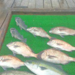 海の釣堀 海恵 釣果