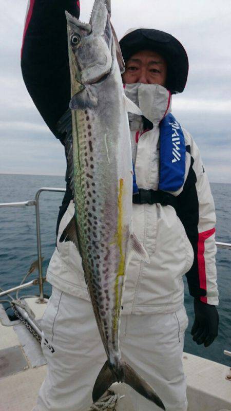 ARCADIAⅡ （アルカディアⅡ） 釣果…