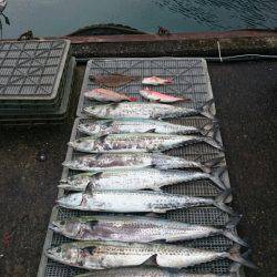 ARCADIAⅡ (アルカディアⅡ) 釣果