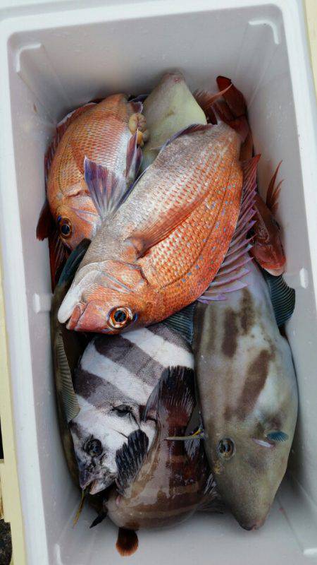 富士丸 釣果