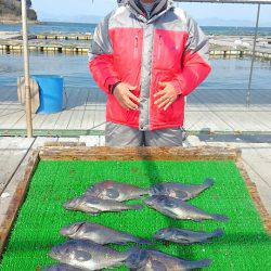 海の釣堀 海恵 釣果