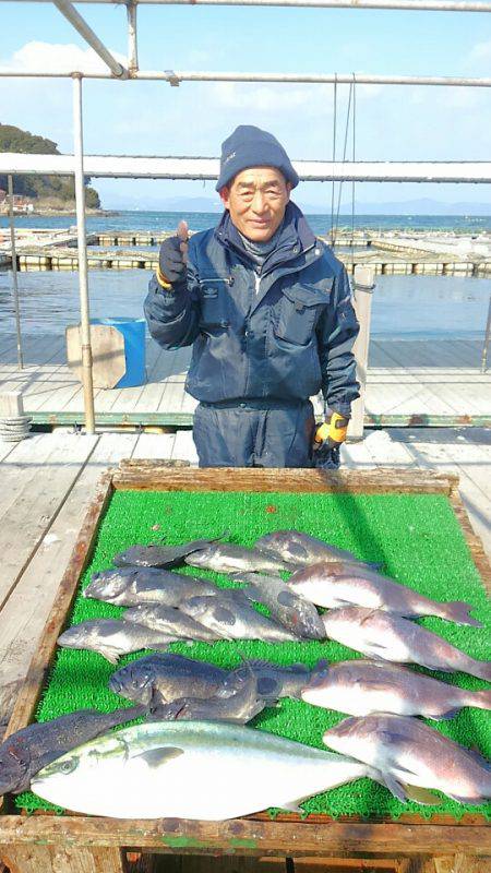 海の釣堀 海恵 釣果