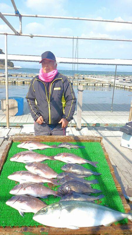 海の釣堀 海恵 釣果