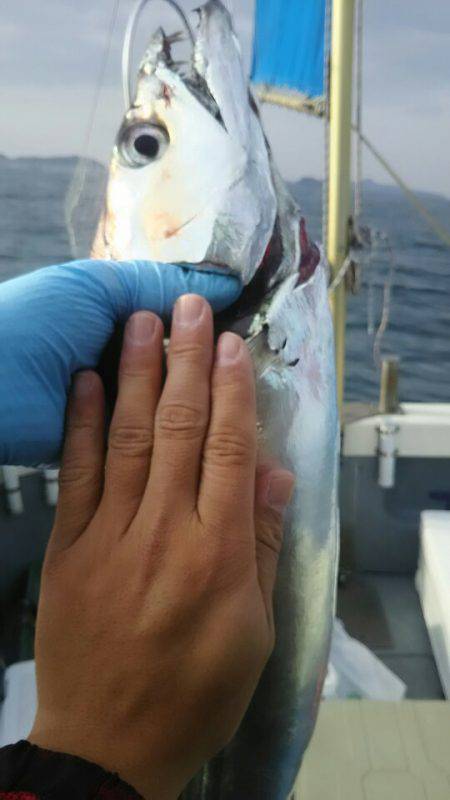 サンマリン 釣果