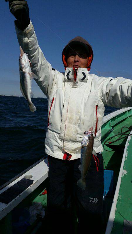 金沢八景鴨下丸 釣果