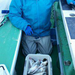 金沢八景鴨下丸 釣果