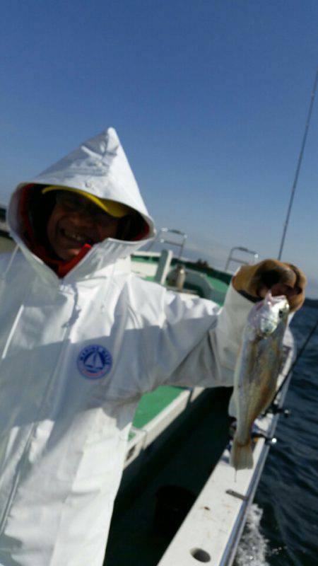 金沢八景鴨下丸 釣果