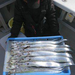 釣人家 釣果