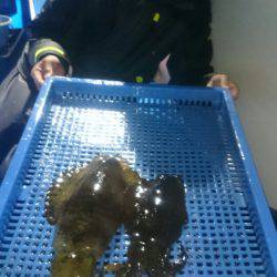 第三共栄丸 釣果