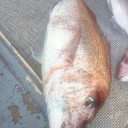 FISHING RISKY 釣果