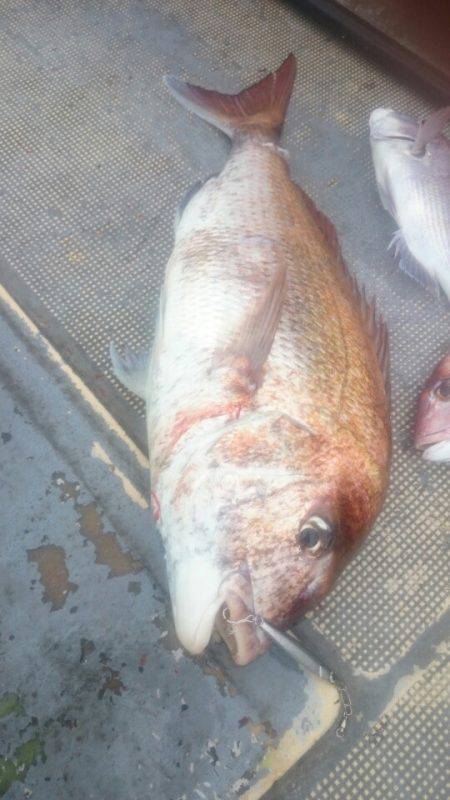 FISHING RISKY 釣果