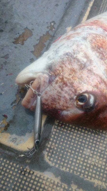 FISHING RISKY 釣果