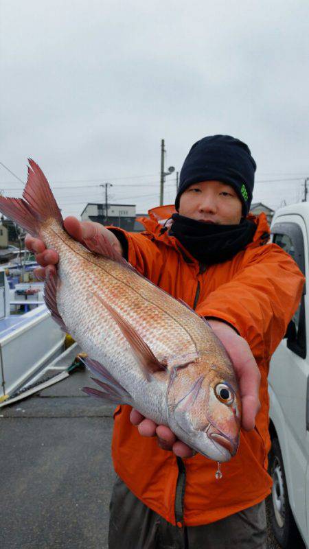 富士丸 釣果