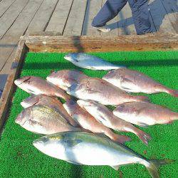 海の釣堀 海恵 釣果