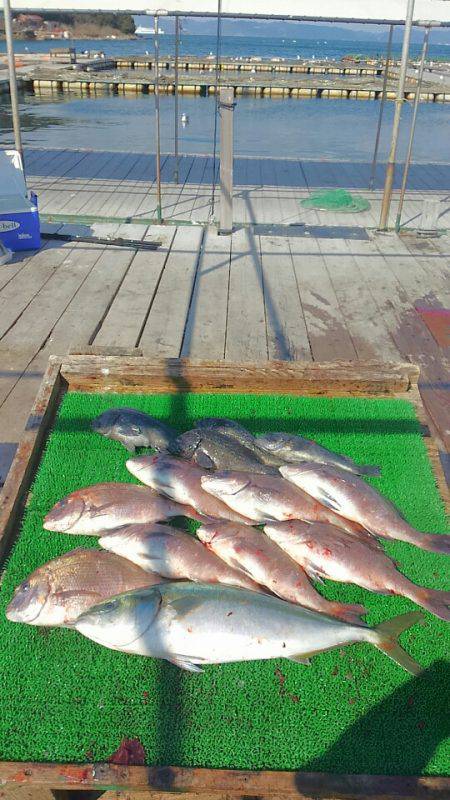 海の釣堀 海恵 釣果