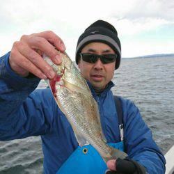 金沢八景鴨下丸 釣果