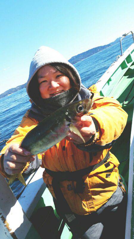 金沢八景鴨下丸 釣果